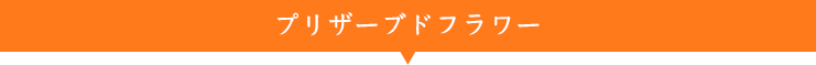 プリザーブドフラワー