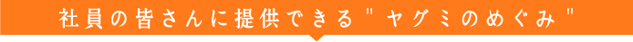 社員の皆さんに提供できる、ヤグミのめぐみ